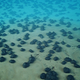 Image for article titled Deep Sea Mining For Battery Metals Presents A New Frontier And Poses New Problems